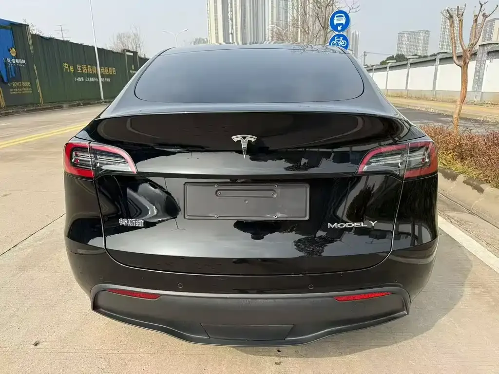 Tesla Model Y — фото 9