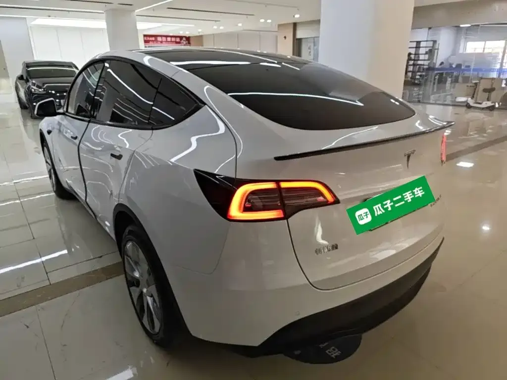 Tesla Model Y — фото 8