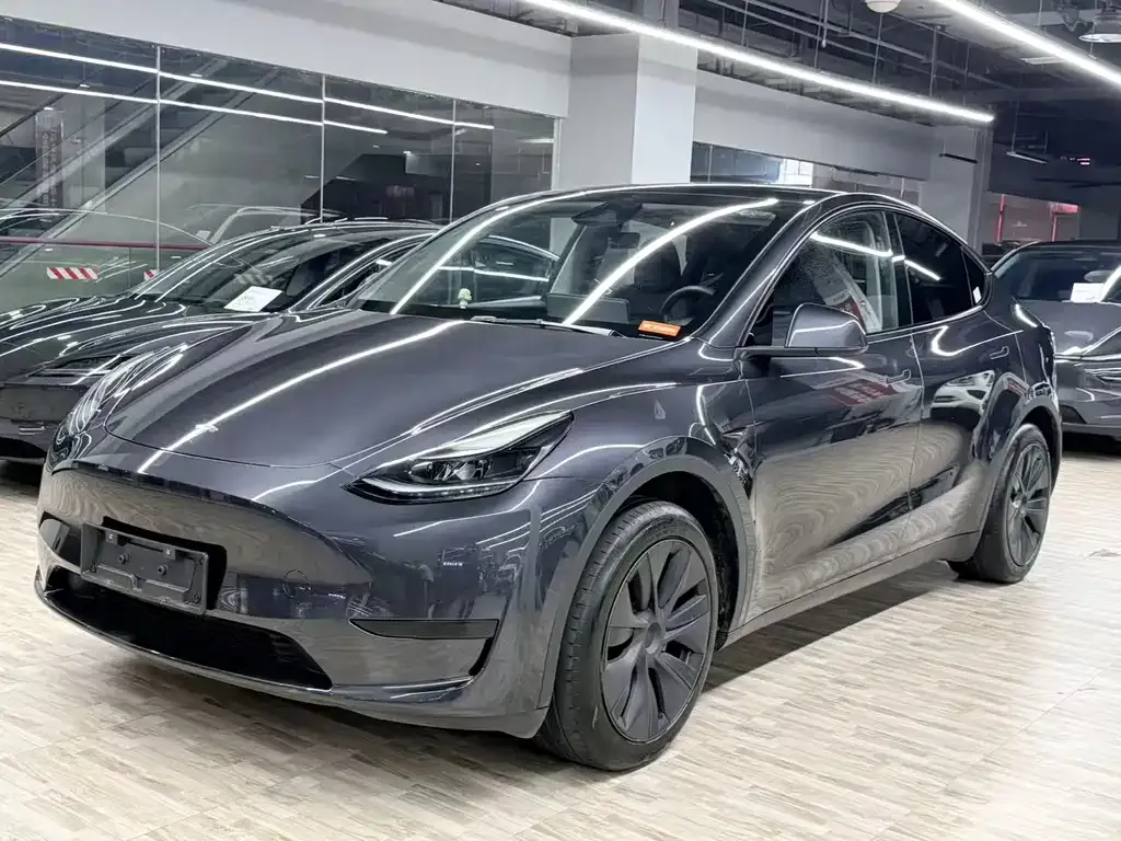 Tesla Model Y — фото 1