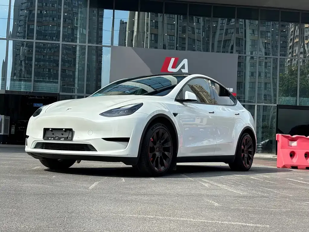 Tesla Model Y — фото 1