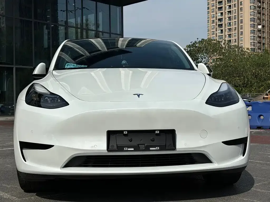 Tesla Model Y — фото 2