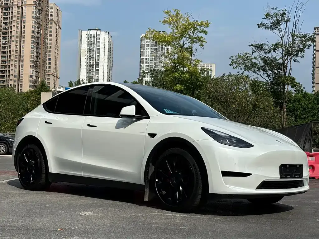 Tesla Model Y — фото 8