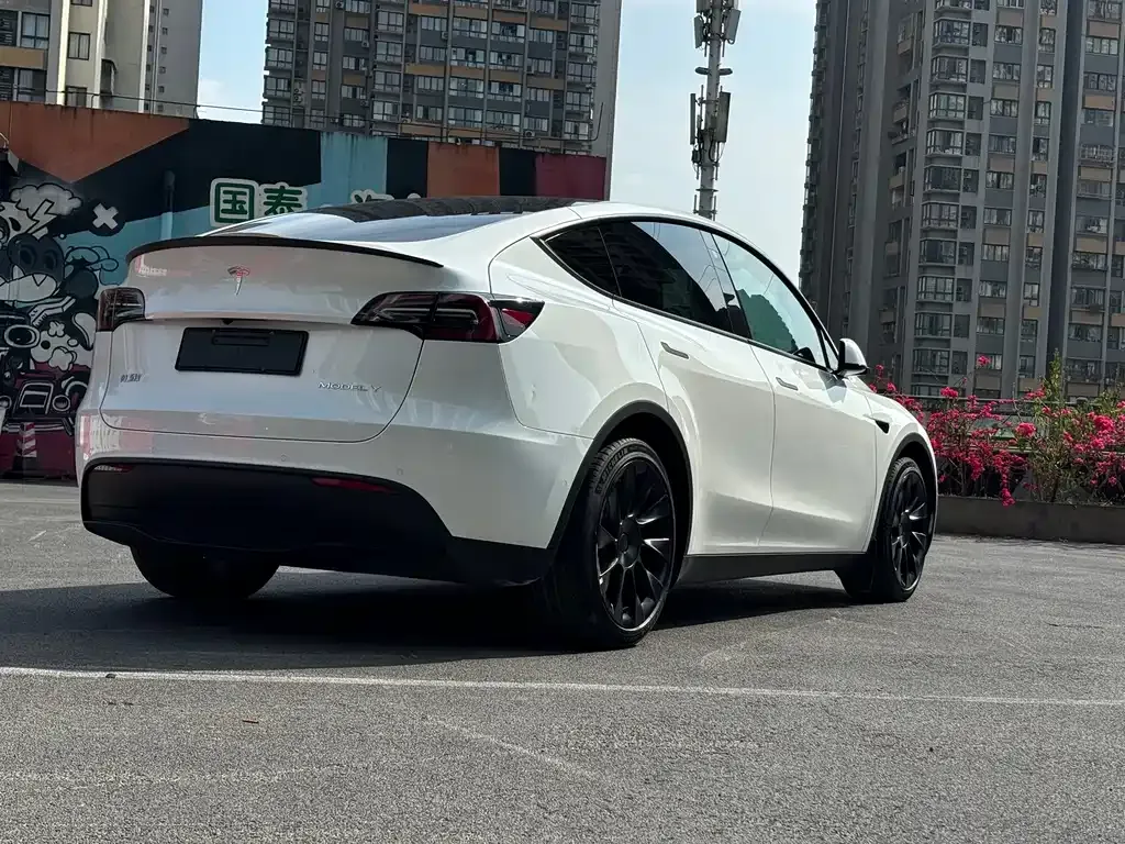 Tesla Model Y — фото 6