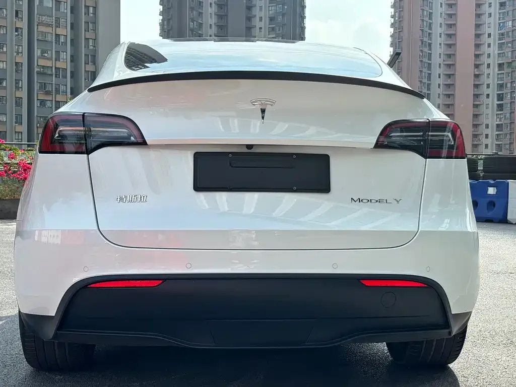Tesla Model Y — фото 3