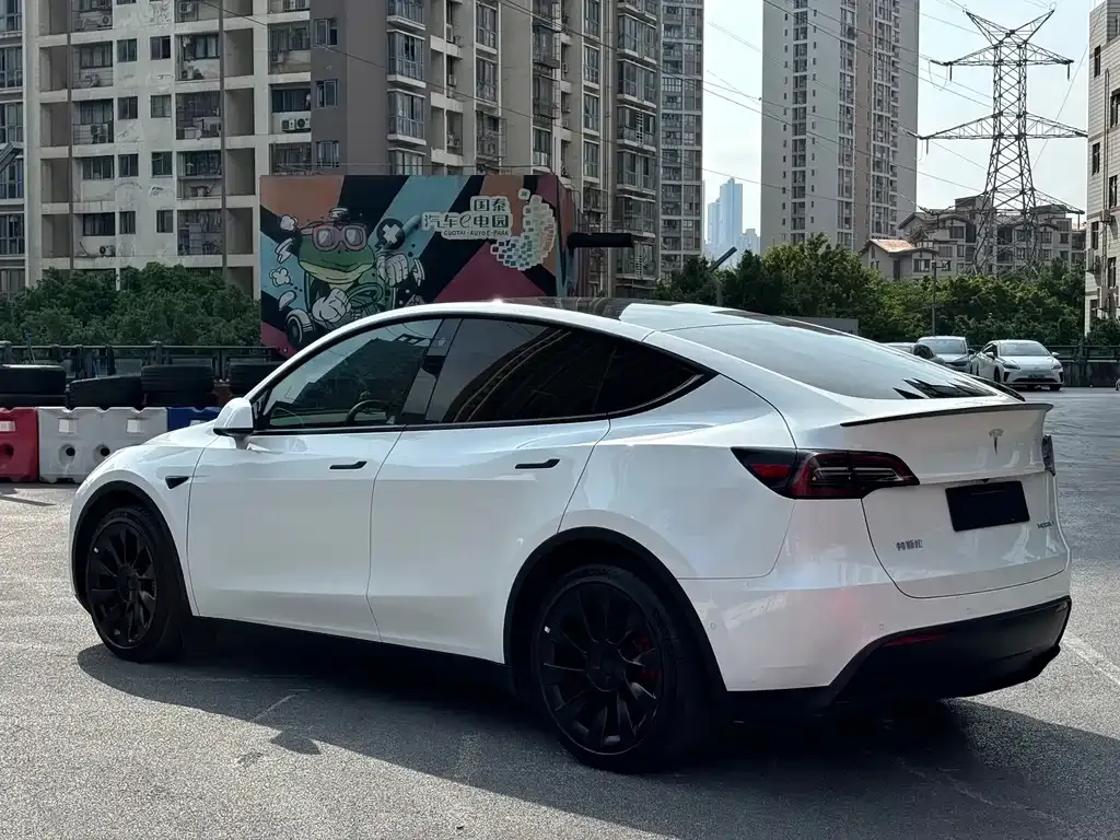 Tesla Model Y — фото 4