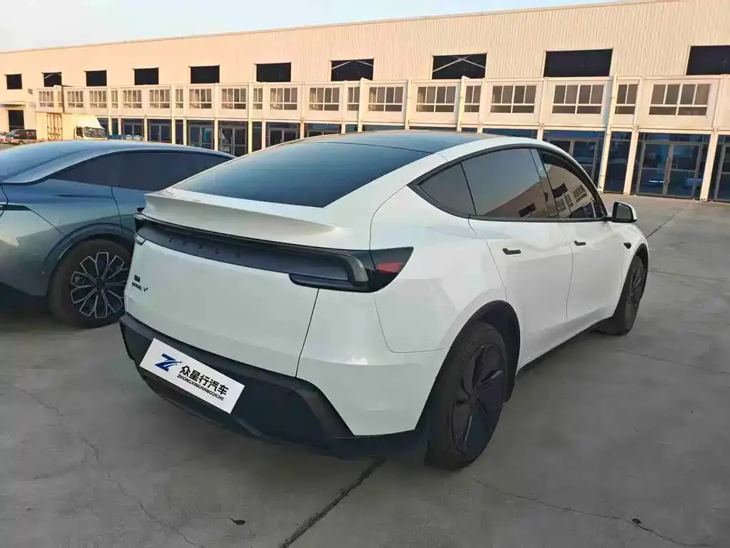 Tesla Model Y — фото 10
