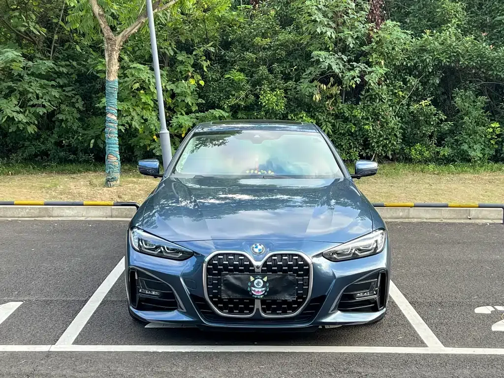 BMW 4 Series — фото 6