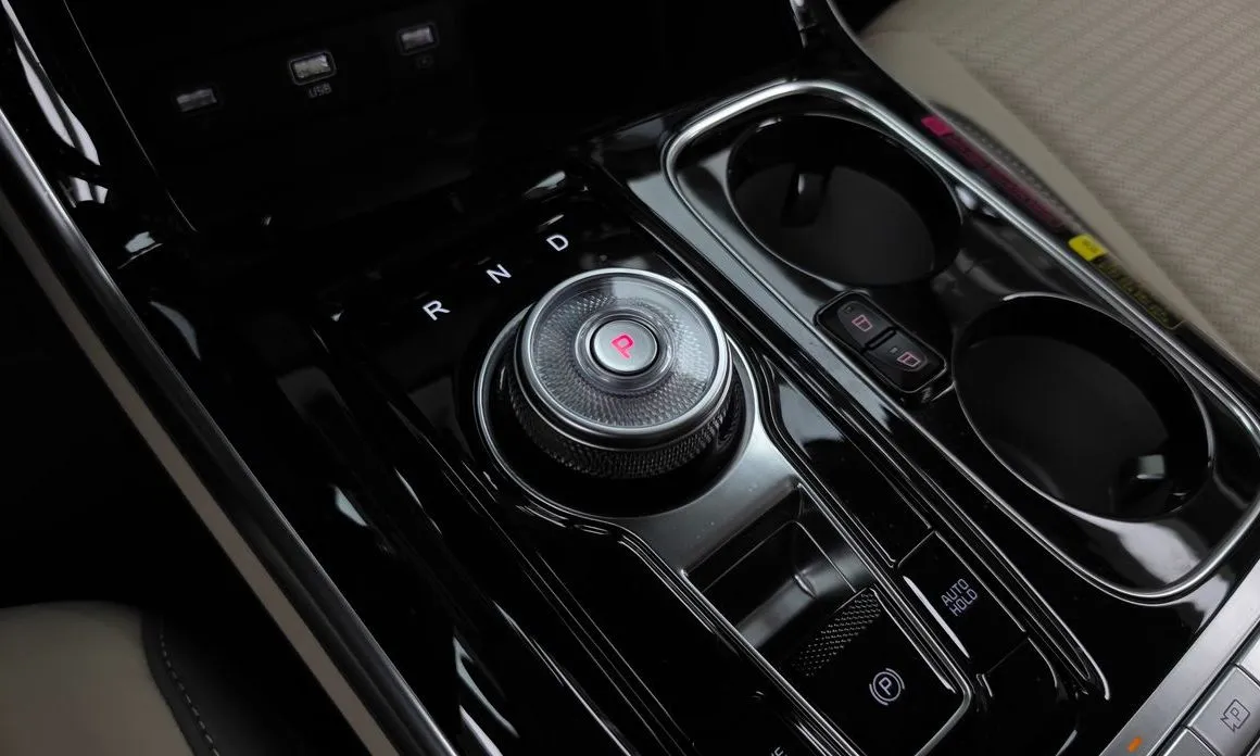 Kia Carnival — фото 10