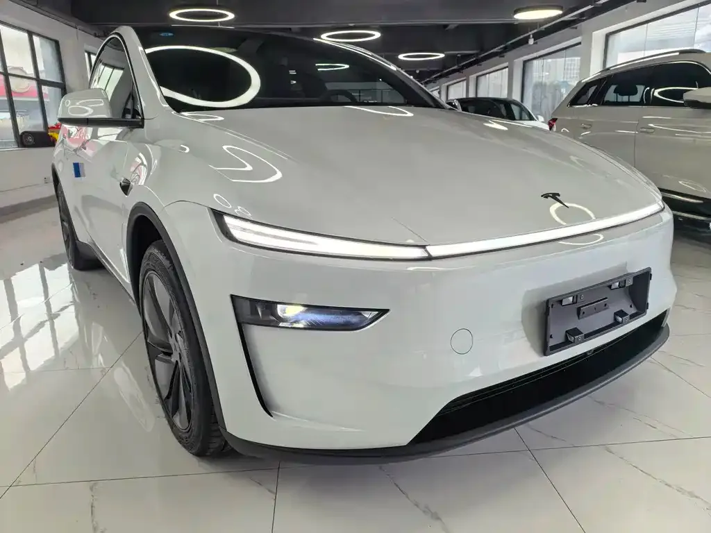 Tesla Model Y — фото 2