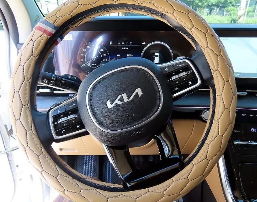 Kia Carnival — фото 10