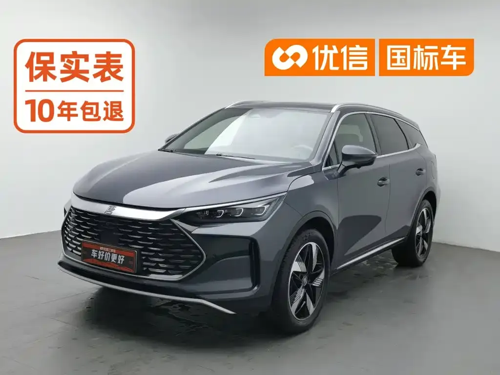 BYD Tang New Energy — фото 1