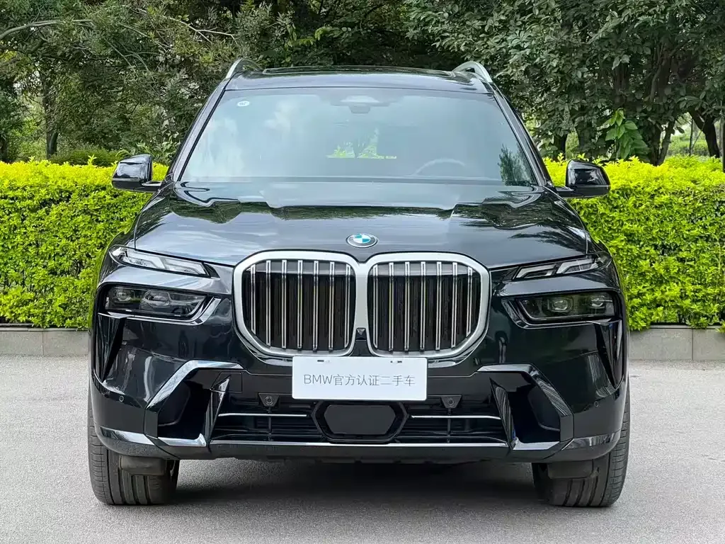 BMW X7 — фото 8