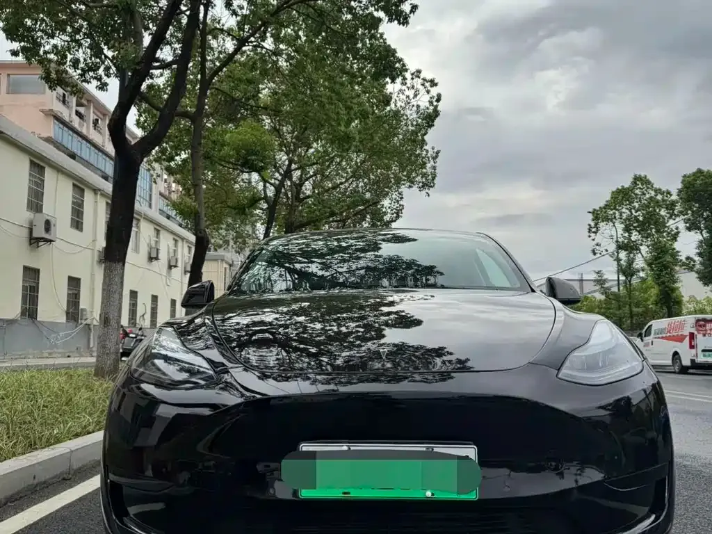 Tesla Model Y — фото 10