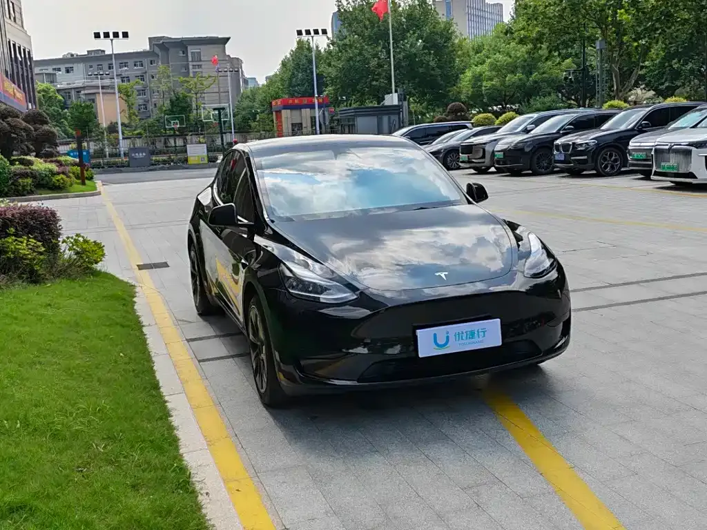Tesla Model Y — фото 6