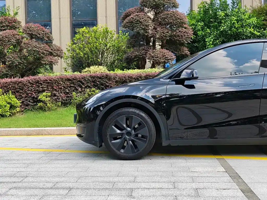 Tesla Model Y — фото 4