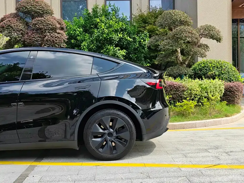 Tesla Model Y — фото 8