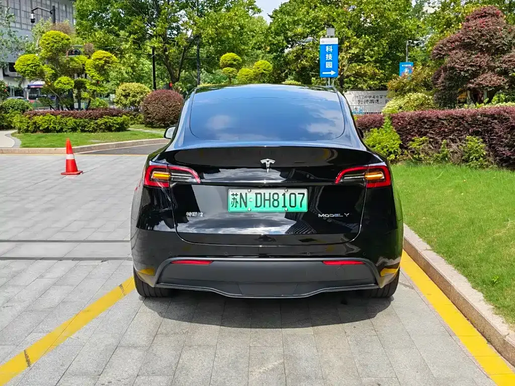 Tesla Model Y — фото 10