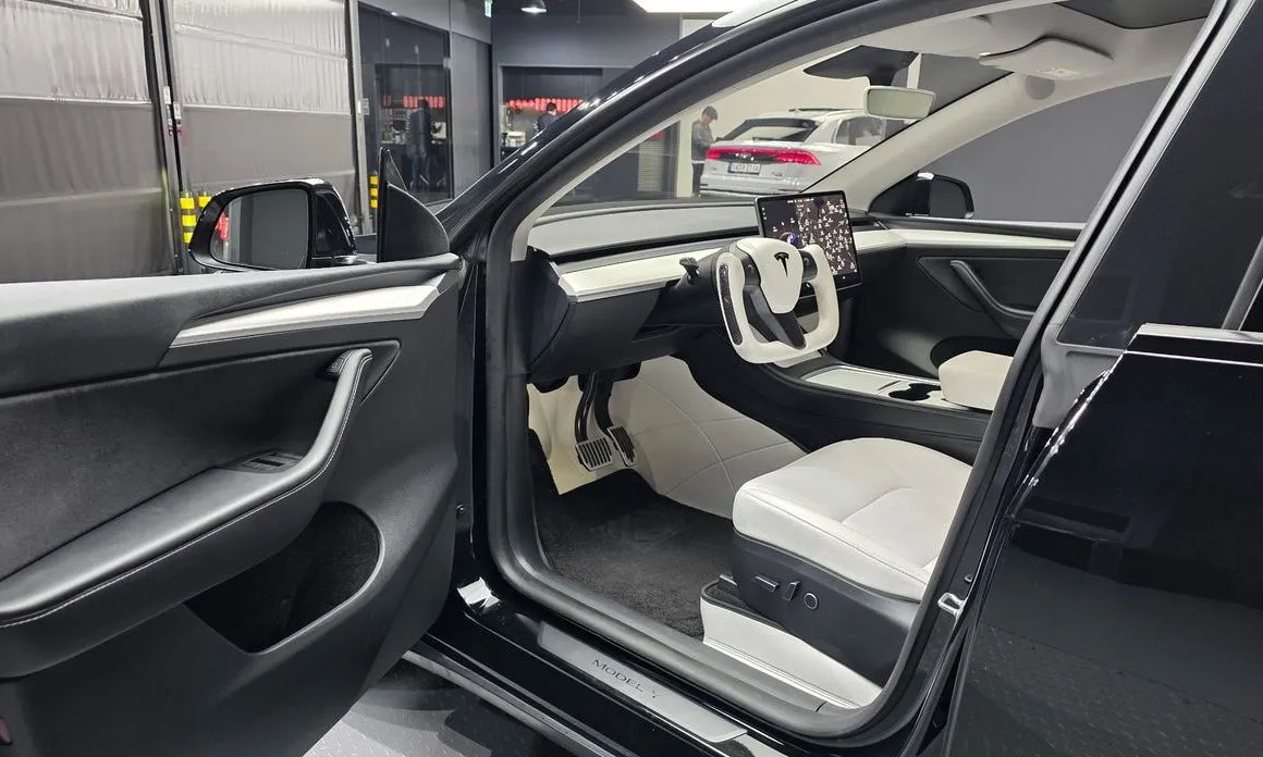 Tesla Model Y — фото 10