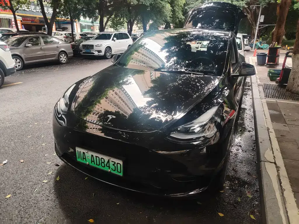 Tesla Model Y — фото 1