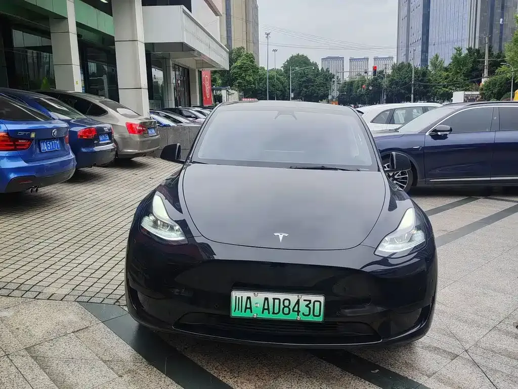Tesla Model Y — фото 2