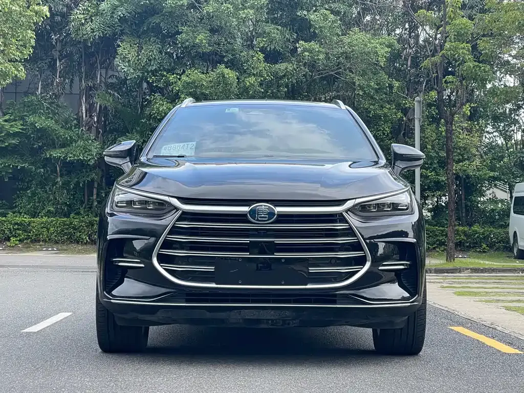 BYD Tang New Energy — фото 10