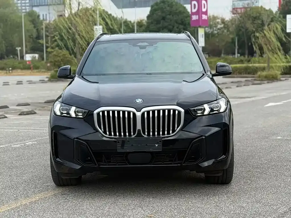 BMW X5 — фото 4