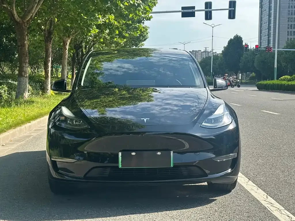 Tesla Model Y — фото 8
