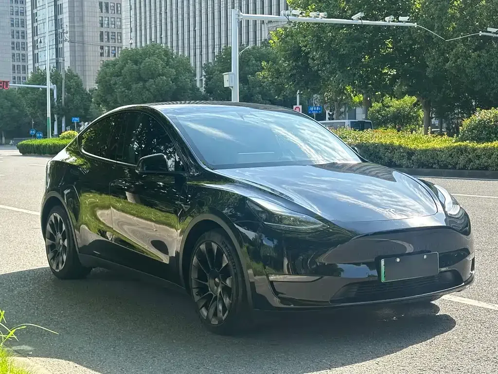 Tesla Model Y — фото 6