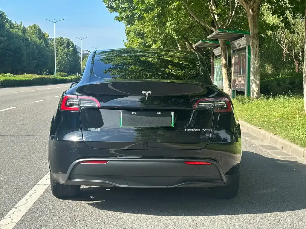 Tesla Model Y — фото 7