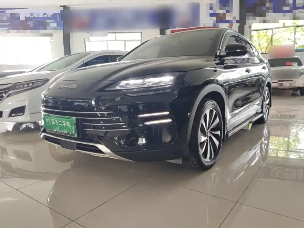 BYD PLUS New Energy — фото 1