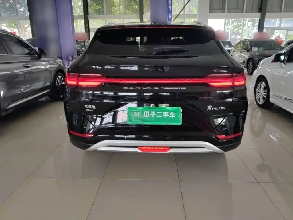 BYD PLUS New Energy — фото 8