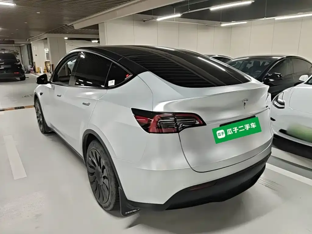 Tesla Model Y — фото 10