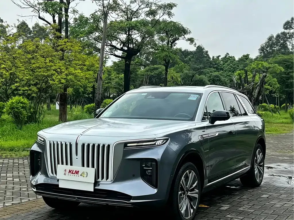 Hongqi E-HS9 — фото 1