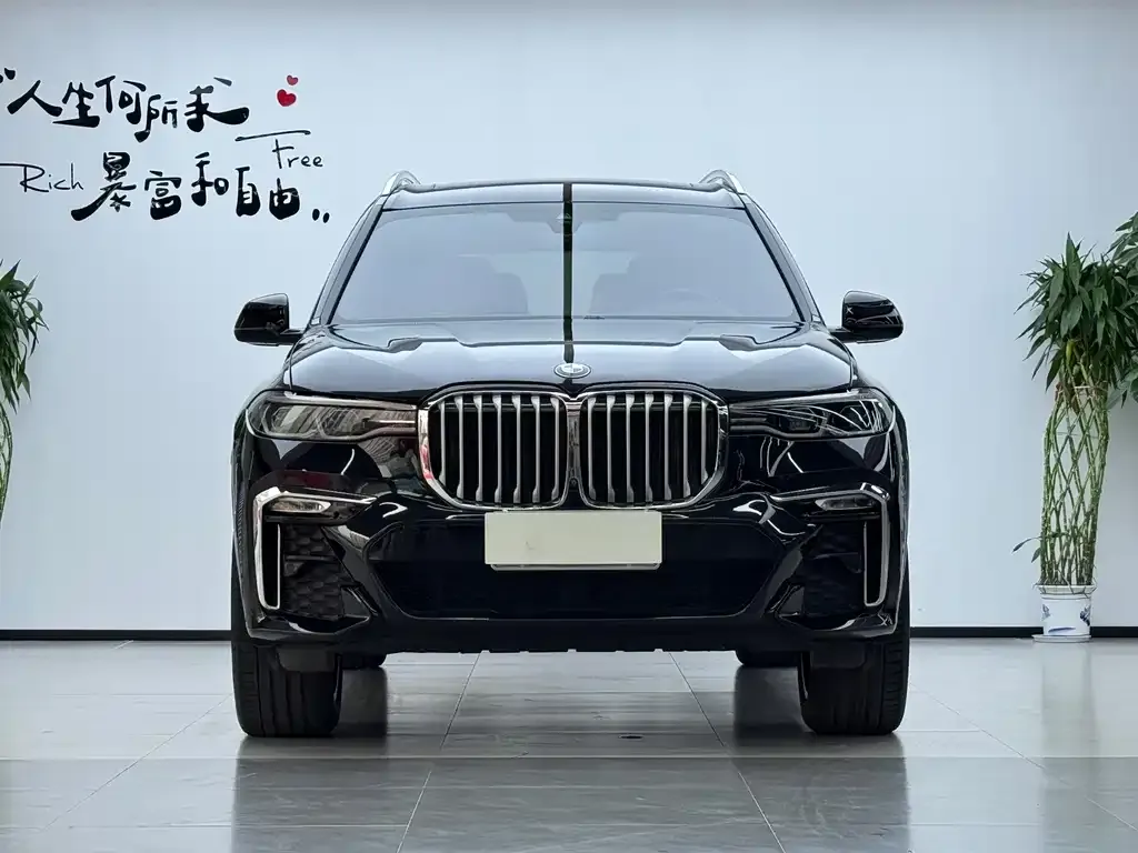 BMW X7 — фото 8