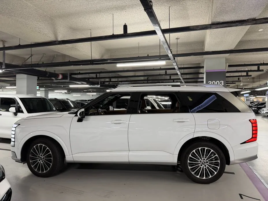 Hyundai Palisade — фото 6