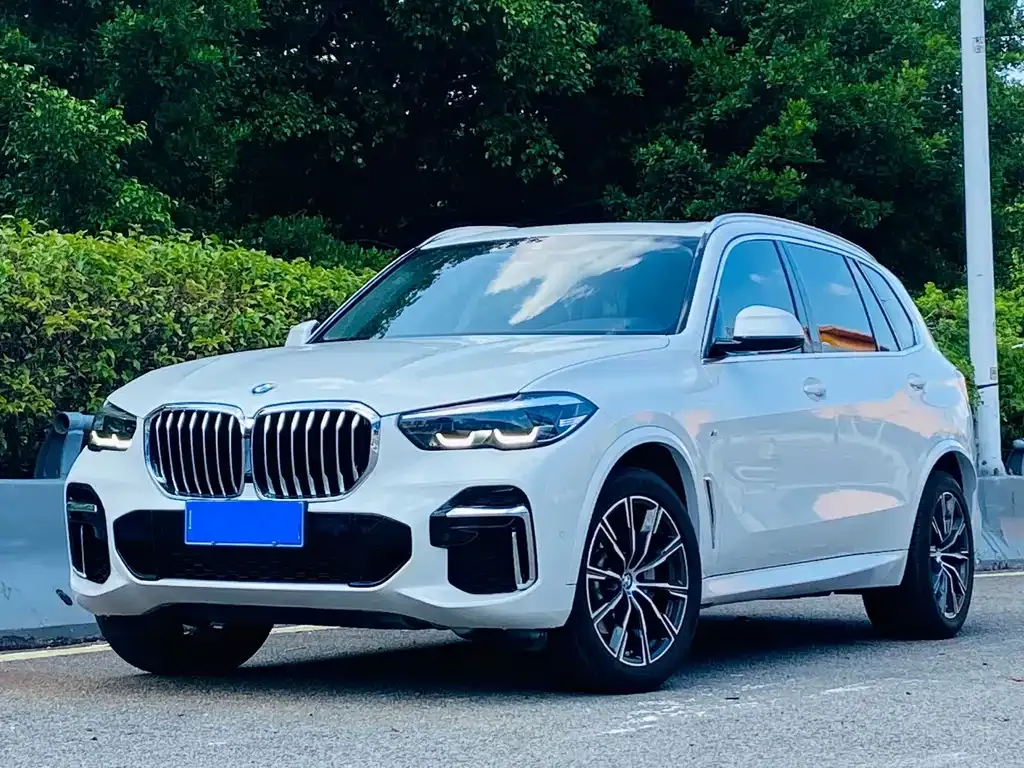 BMW X5 — фото 1