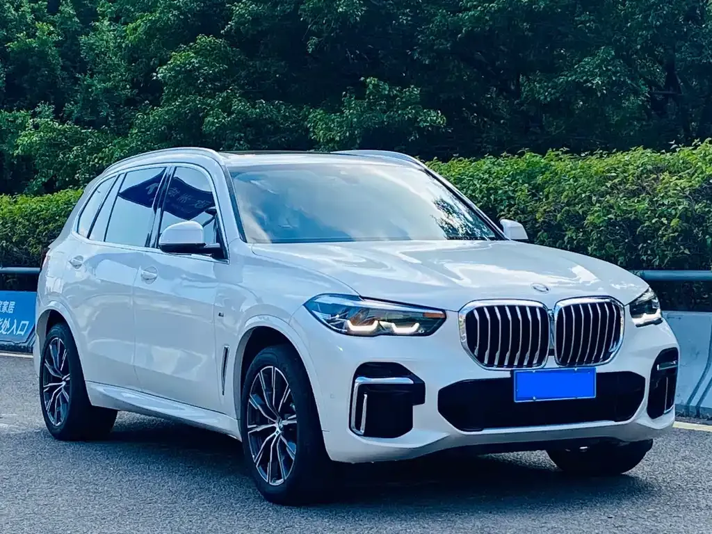 BMW X5 — фото 5