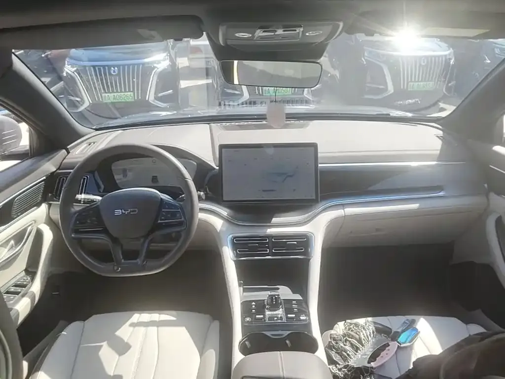BYD PLUS New Energy — фото 10