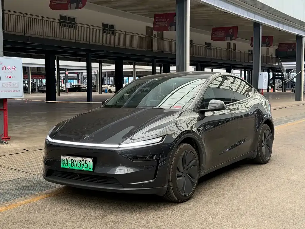 Tesla Model Y — фото 1