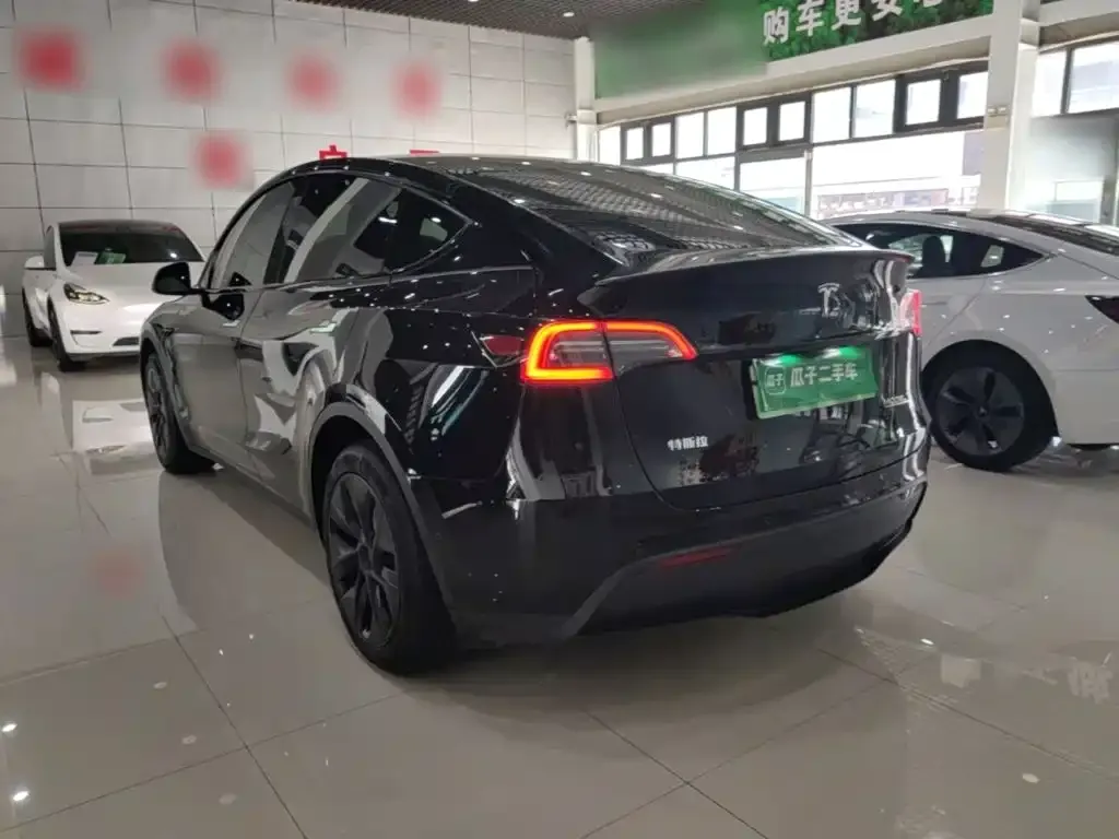 Tesla Model Y — фото 2