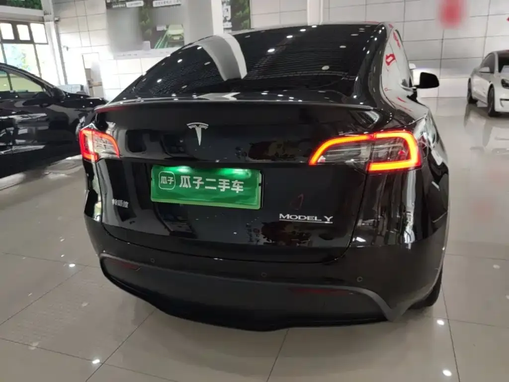Tesla Model Y — фото 9