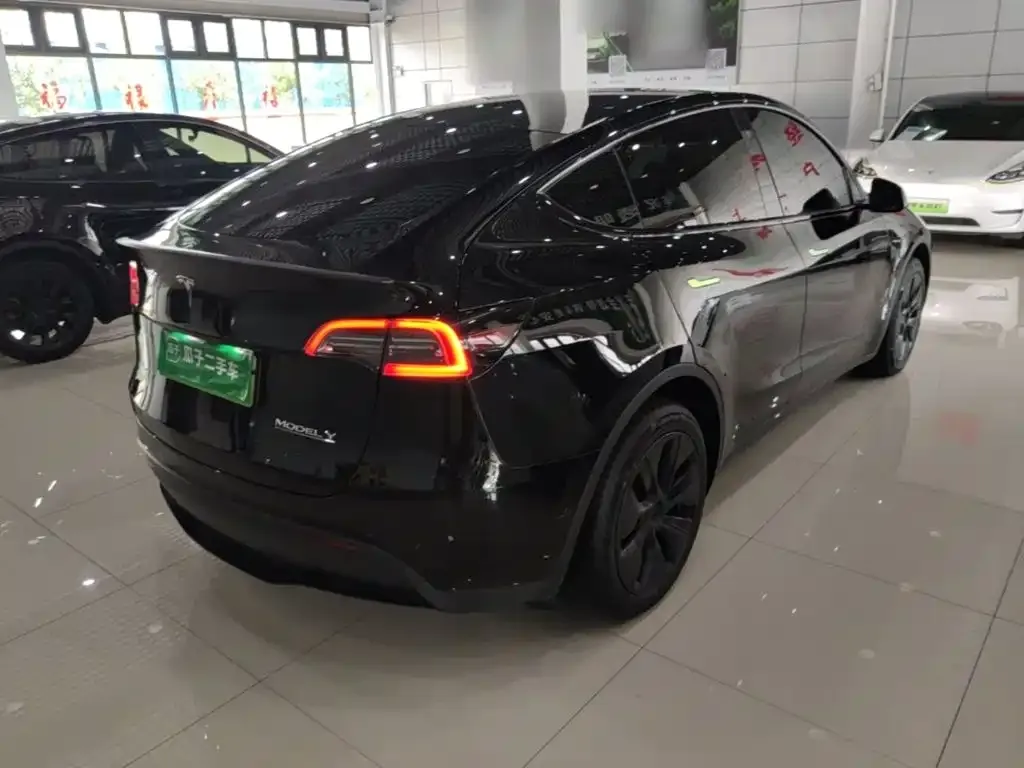Tesla Model Y — фото 10