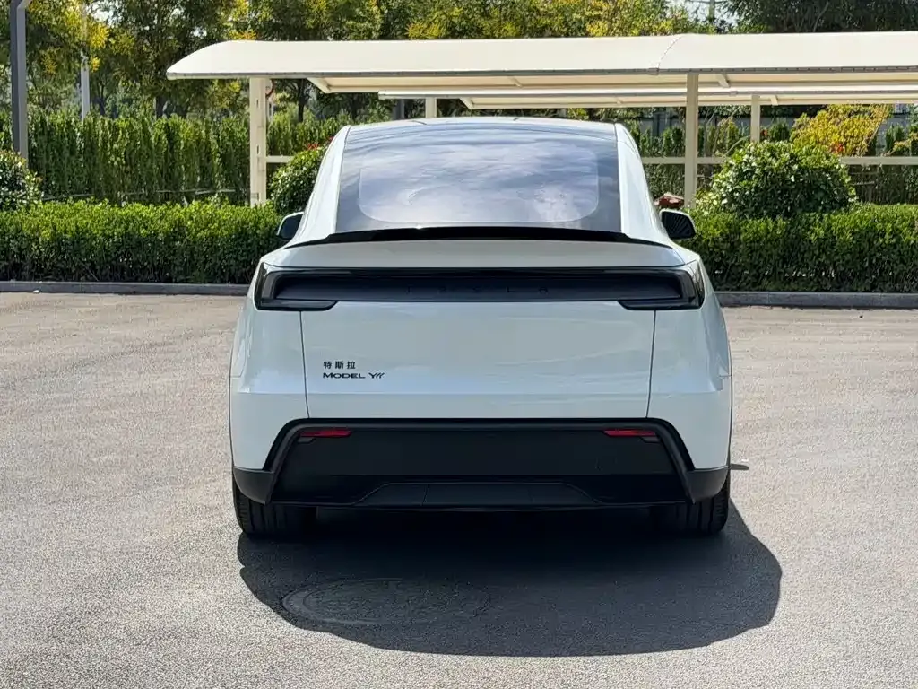 Tesla Model Y L — фото 10