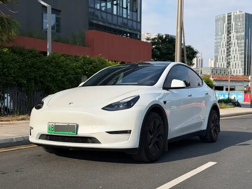 Tesla Model Y — фото 1