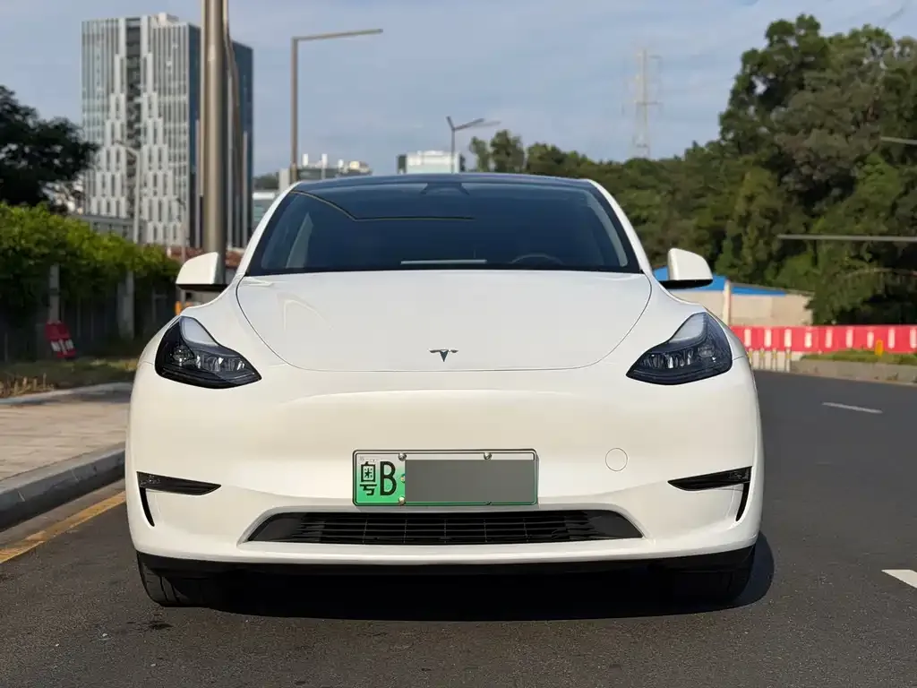 Tesla Model Y — фото 5