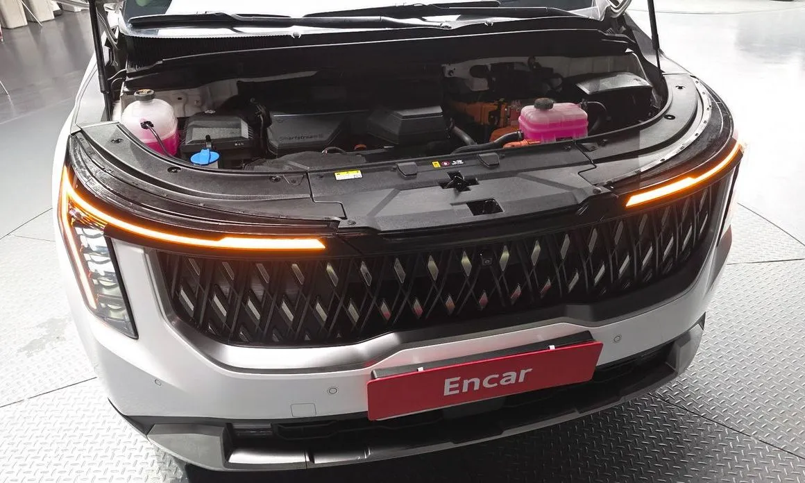 Kia Carnival — фото 10