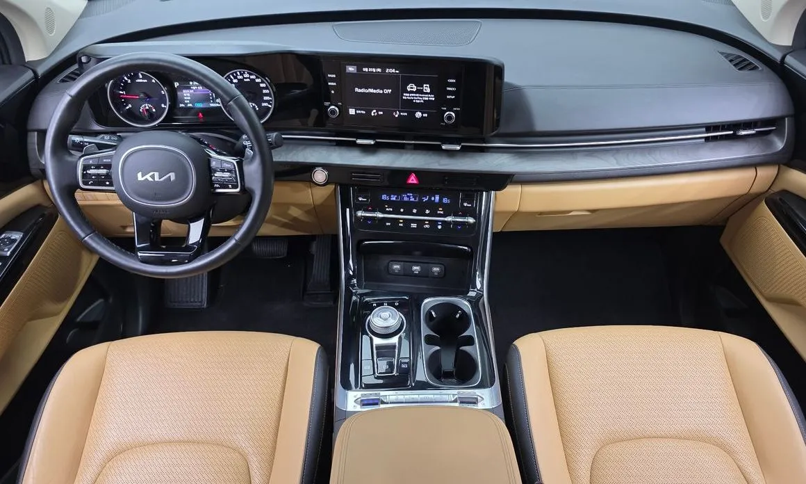 Kia Carnival — фото 10