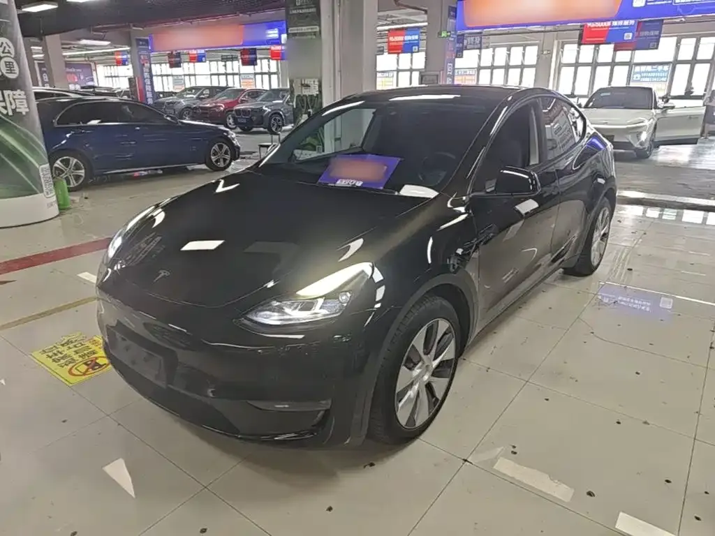 Tesla Model Y — фото 5