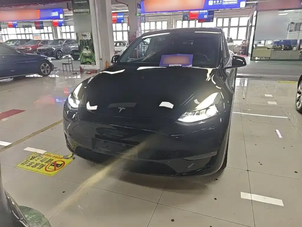 Tesla Model Y — фото 6