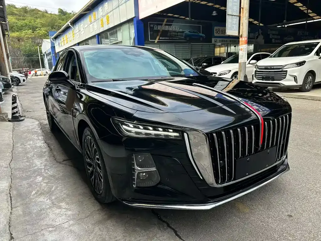 Hongqi H5 — фото 10